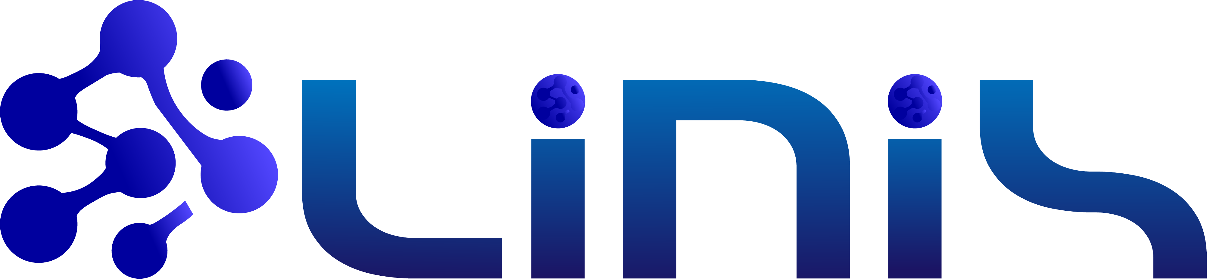LINIS Logo